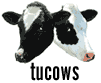 tucows-logo.gif (2068 bytes)